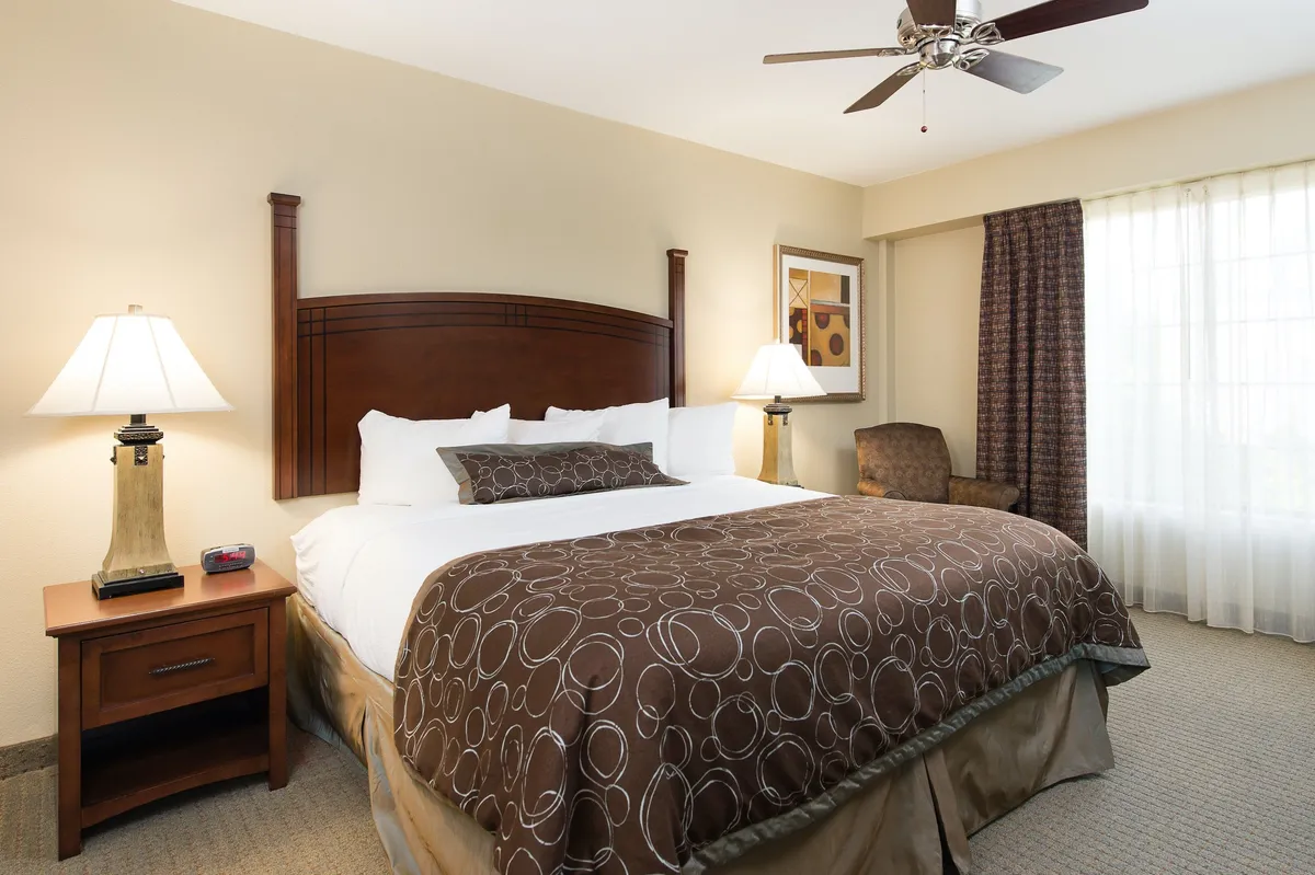This image depicts a serene bedroom featuring a luxurious king-size bed adorned with a patterned duvet, two warm bedside lamps, a comfortable chair, and decorative artwork. The soft natural light coming through the window enhances the room's calm, inviting atmosphere, making it ideal for relaxing after a busy day.